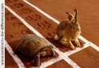 Day Trading vs Longer Term Holding