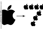 Stock Split
